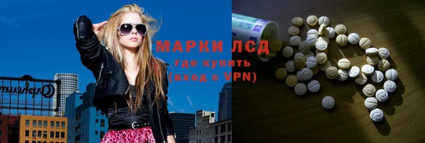 ГАЛЛЮЦИНОГЕННЫЕ ГРИБЫ Балахна