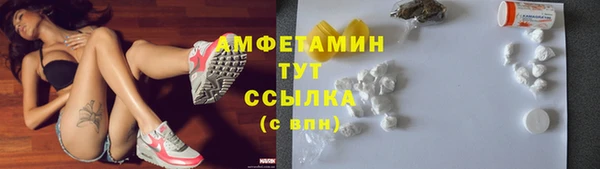 ГАЛЛЮЦИНОГЕННЫЕ ГРИБЫ Балахна