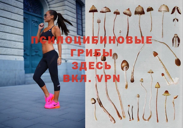 трава Балабаново