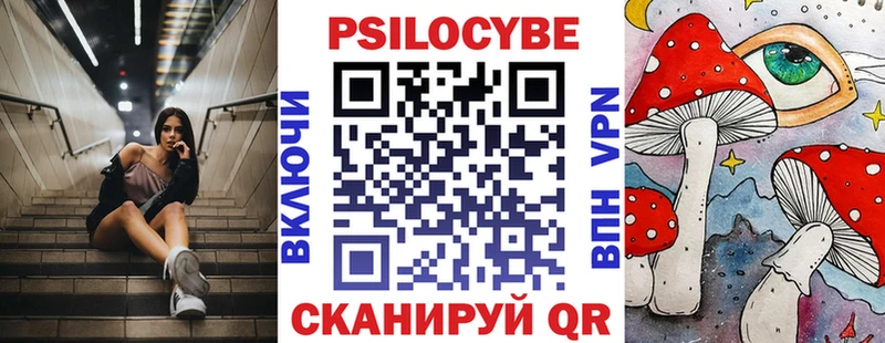 Псилоцибиновые грибы Psilocybe  Тутаев 